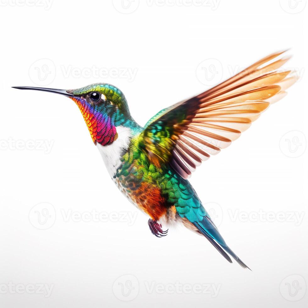 Portrait hummingbird isolated on white ai generate photo