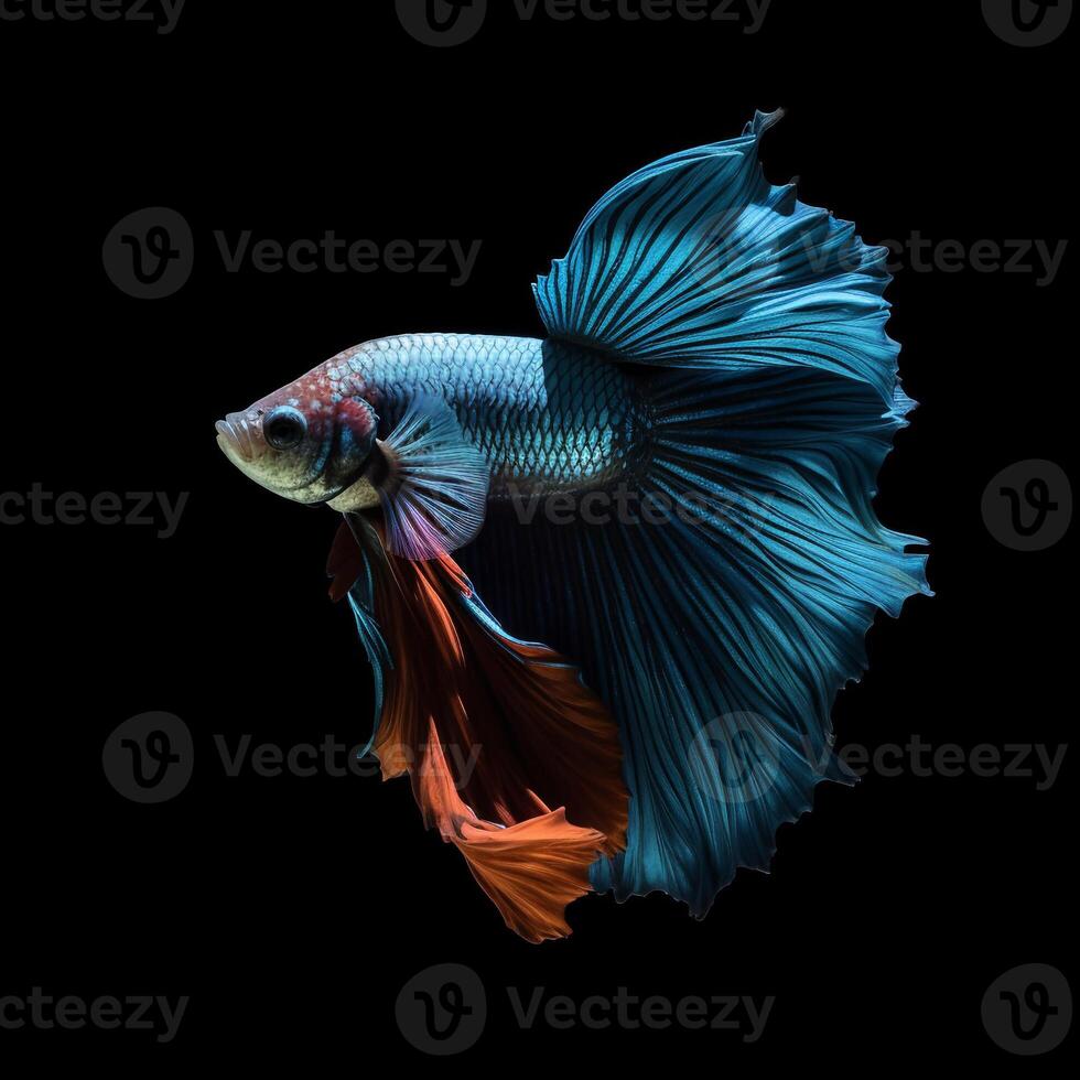 Portrait betta fish isolated on black ai generate photo