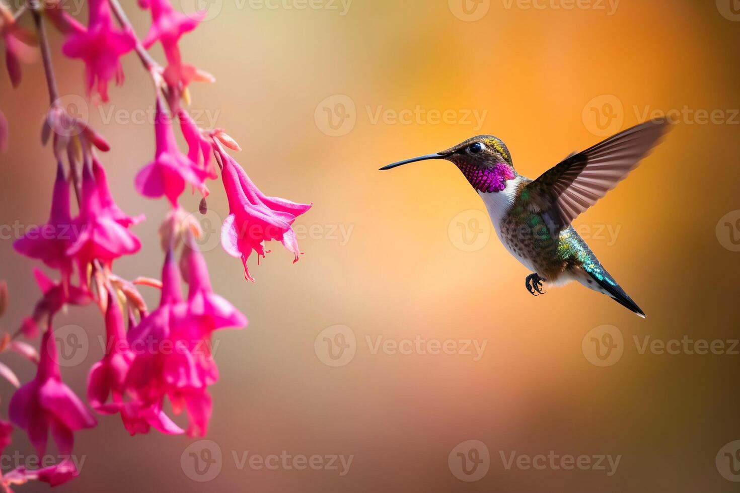 Portrait hummingbird with flower ai generate photo