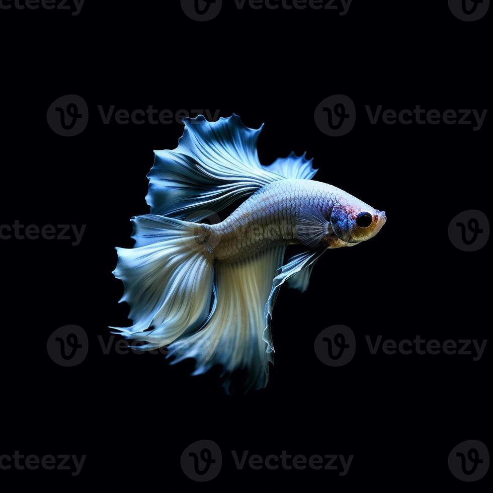 Portrait betta fish isolated on black ai generate photo