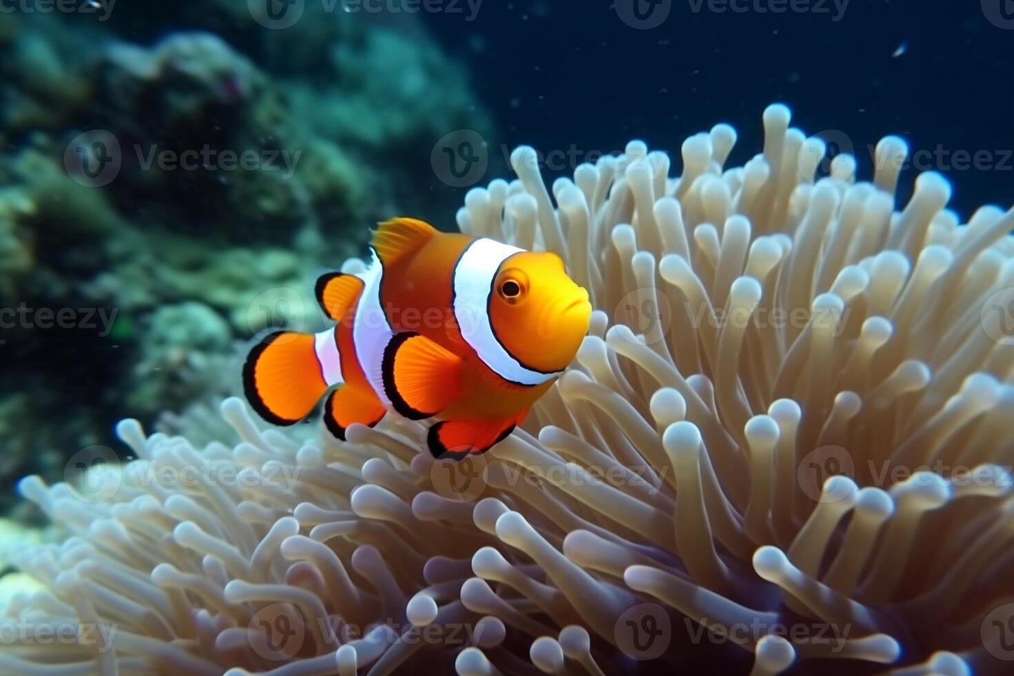 Portrait beautiful fish ai generate photo
