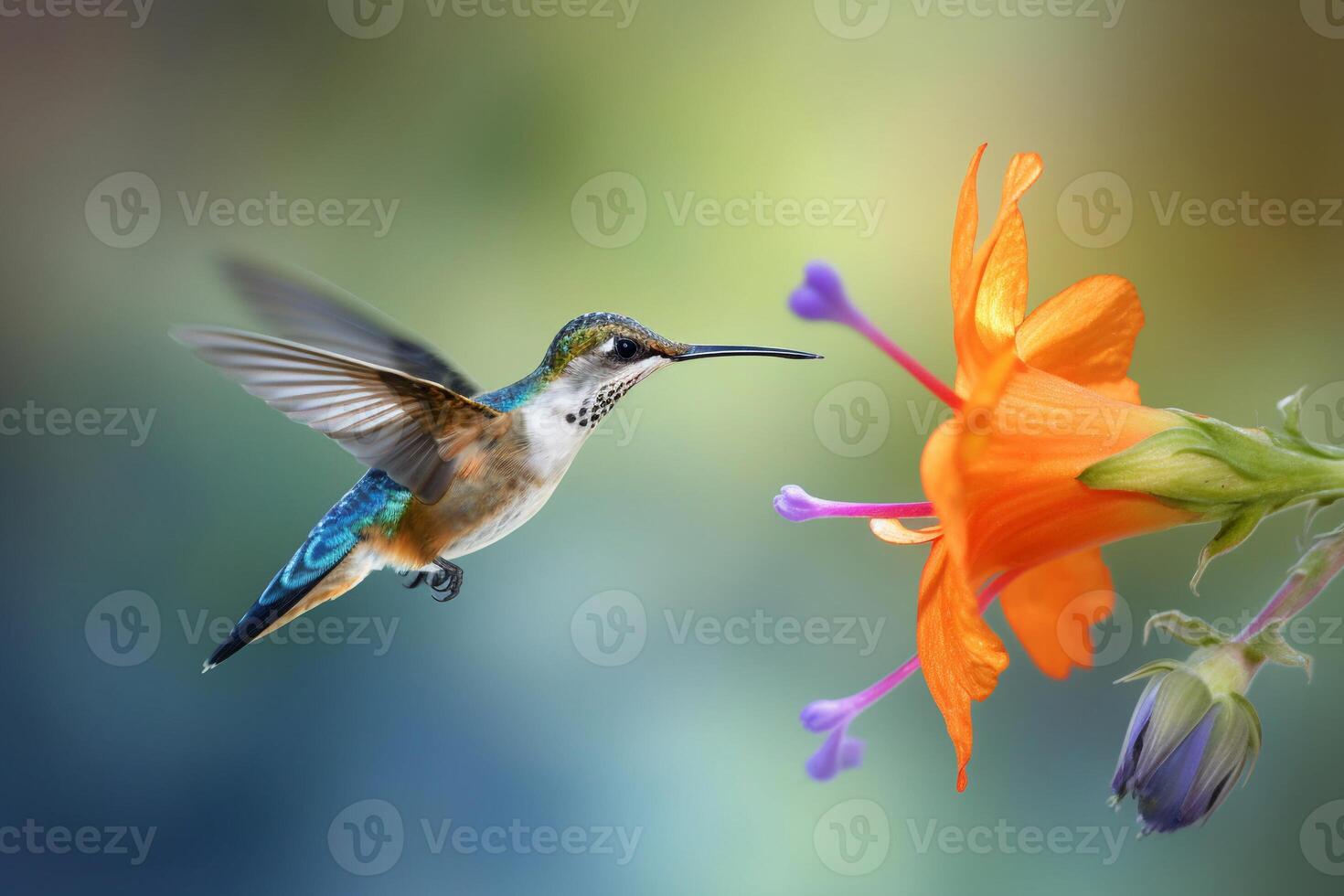 Portrait hummingbird with flower ai generate photo