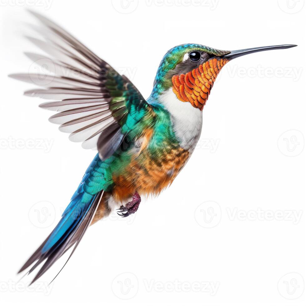 Portrait hummingbird isolated on white ai generate photo