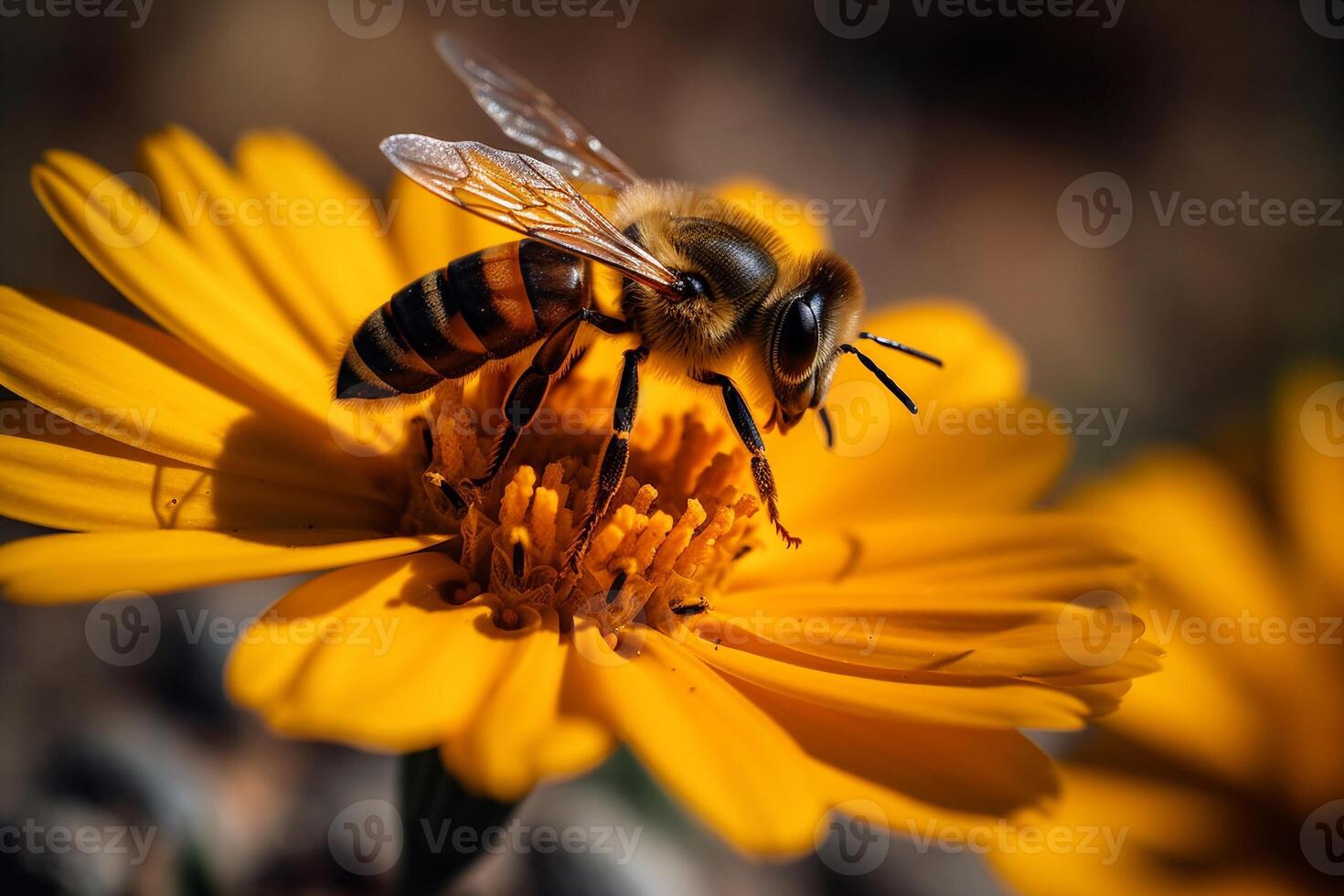 Portrait macro bee AI Generate photo