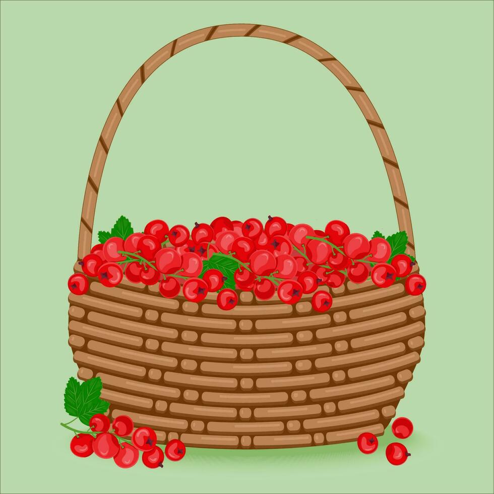 Red currant berries with green leaves in a wicker basket. The concept of healthy eating. Ripe berries. Fruit picking. Vector illustration in a flat style.