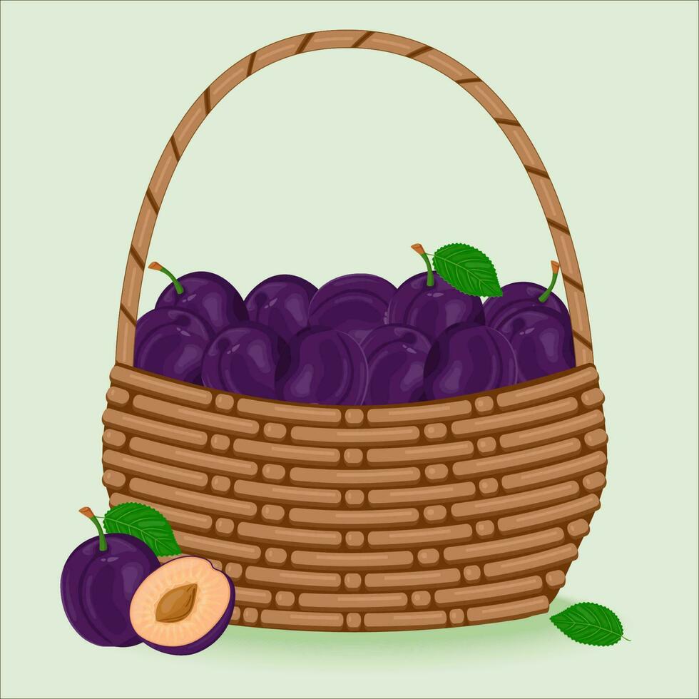 Plum with green leaves in a wicker basket. The concept of healthy eating. Ripe fruits. Harvesting. Vector illustration in a flat style.