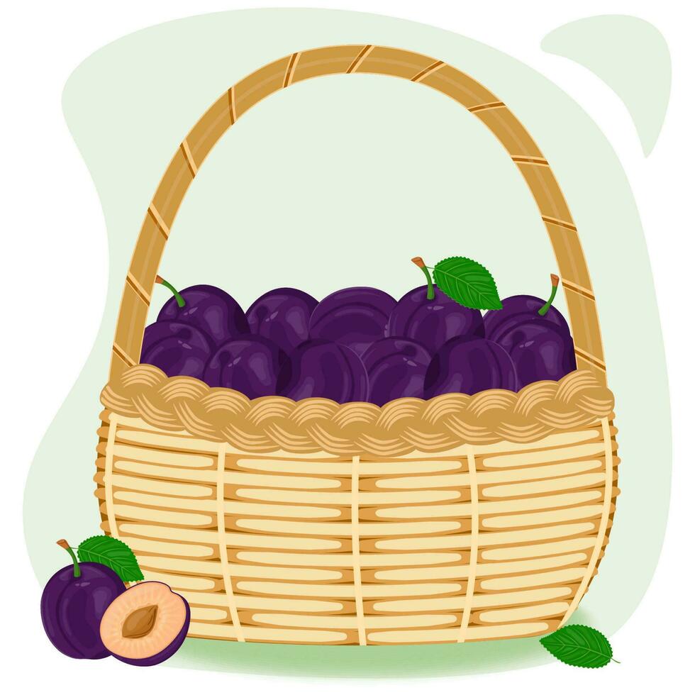 Plum with green leaves in a wicker basket. The concept of healthy eating. Ripe fruits. Harvesting. Vector illustration in a flat style.