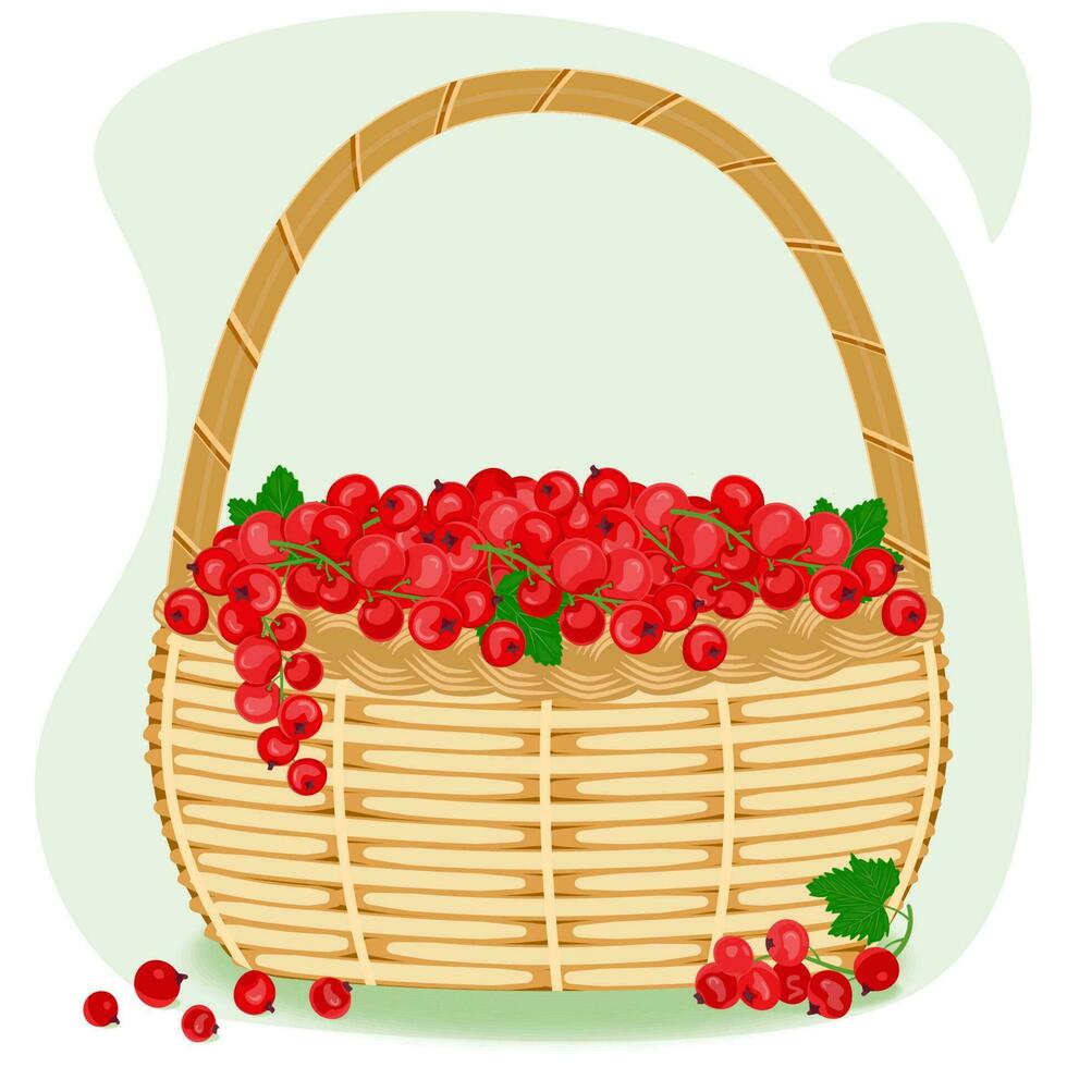 Red currant berries with green leaves in a wicker basket. The concept of healthy eating. Ripe berries. Fruit picking. Vector illustration in a flat style.