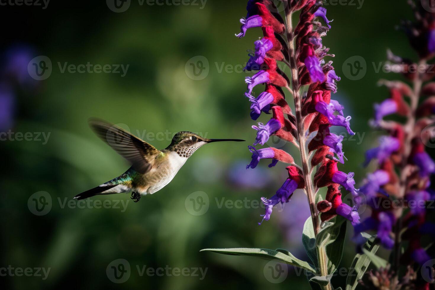 Portrait hummingbird with flower ai generate photo