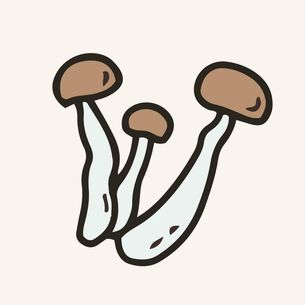 Beech mushrooms vector illustration. Hand drawn art of edible mushrooms.