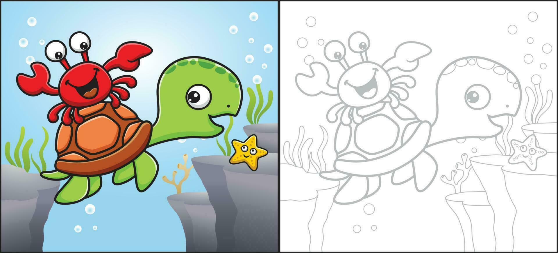 Vector cartoon of cute crab ride on turtles back with funny starfish undersea. Coloring book or page