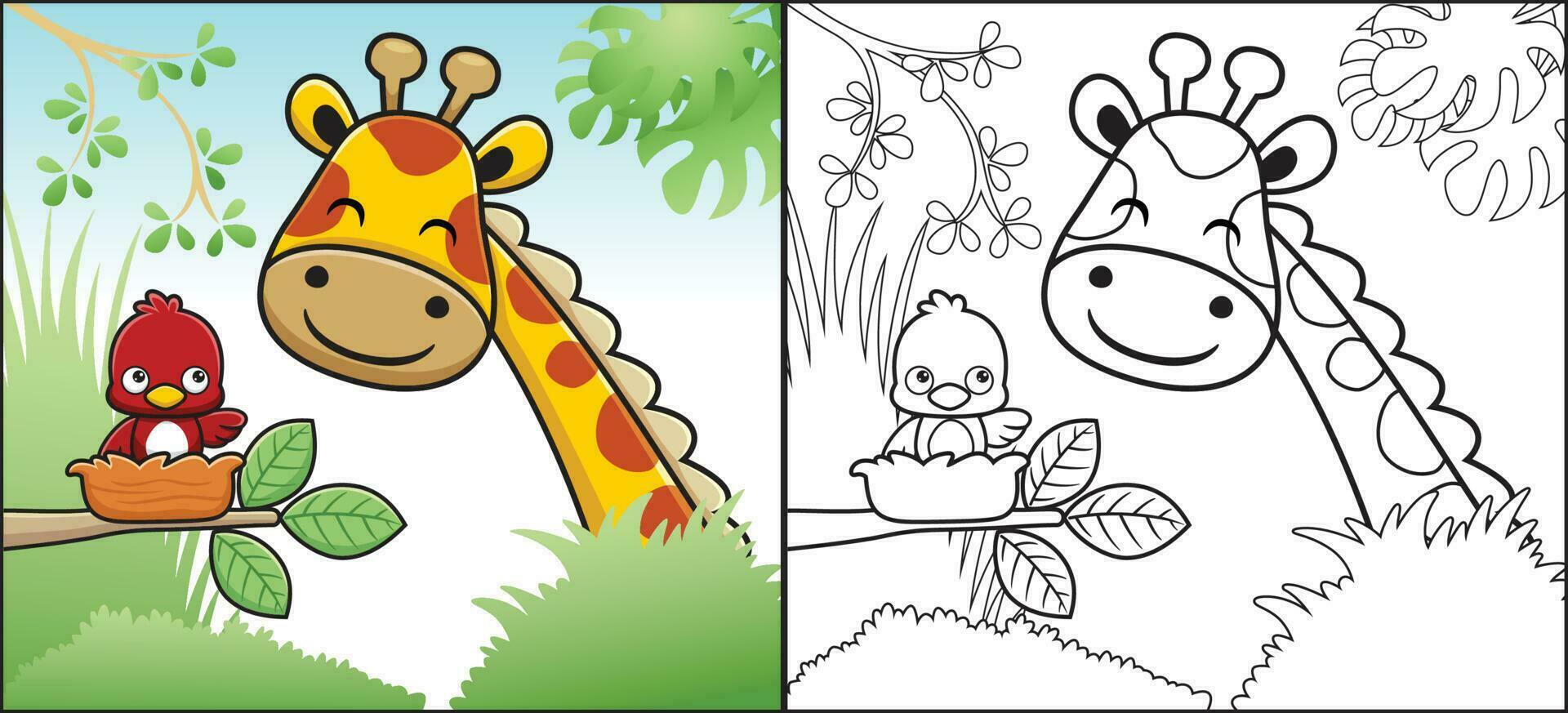 Coloring book or page of giraffe cartoon in jungle with little bird on it nest vector