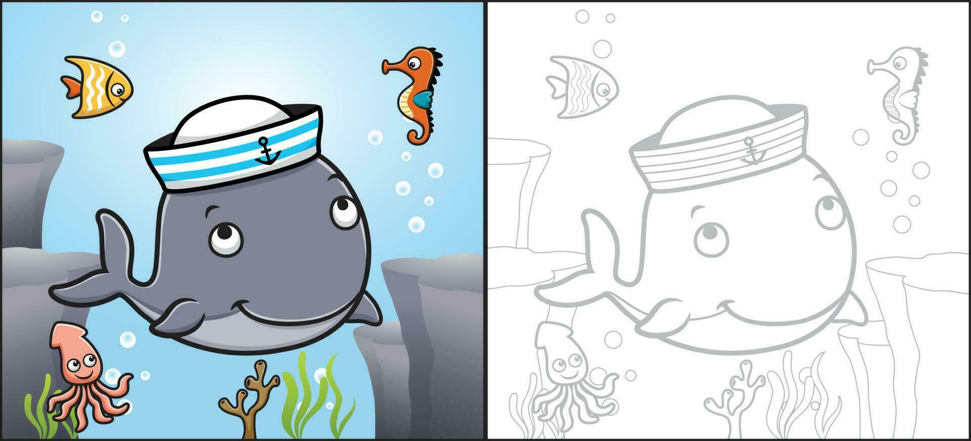 Vector cartoon of whale wearing sailor cap with fish, seahorse and squid. Coloring book or page