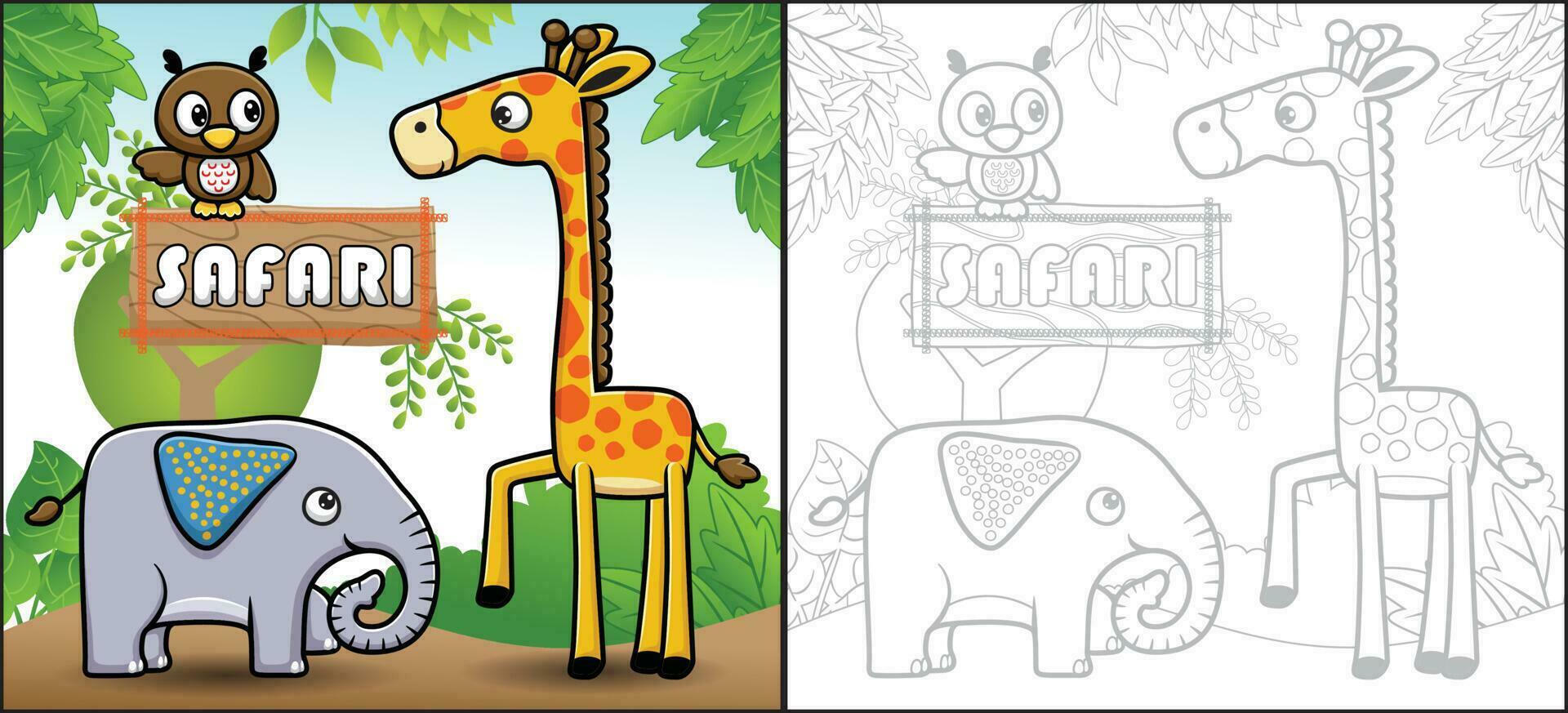 vector dibujos animados de gracioso safari animales jirafa, elefante y búho. colorante libro o página