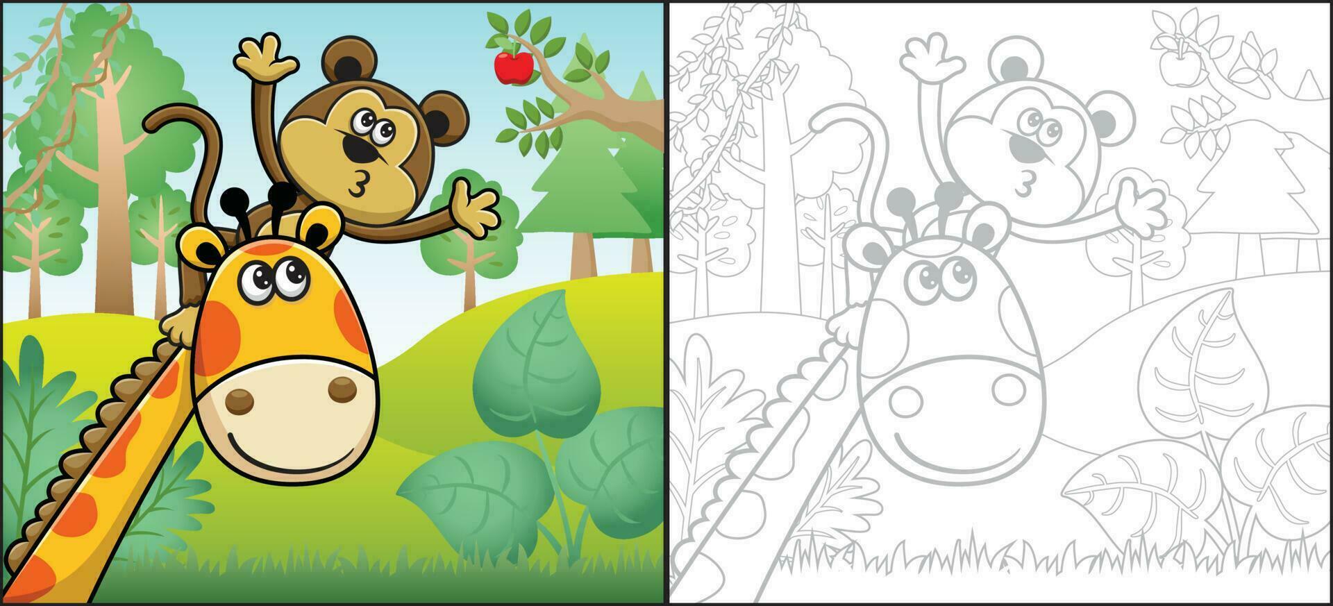 Cartoon of monkey climb giraffe's neck trying to pick fruit. Coloring book or page vector