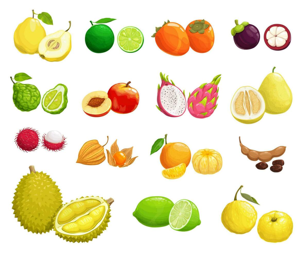 Cartoon fruit vector icons natural exotic food set