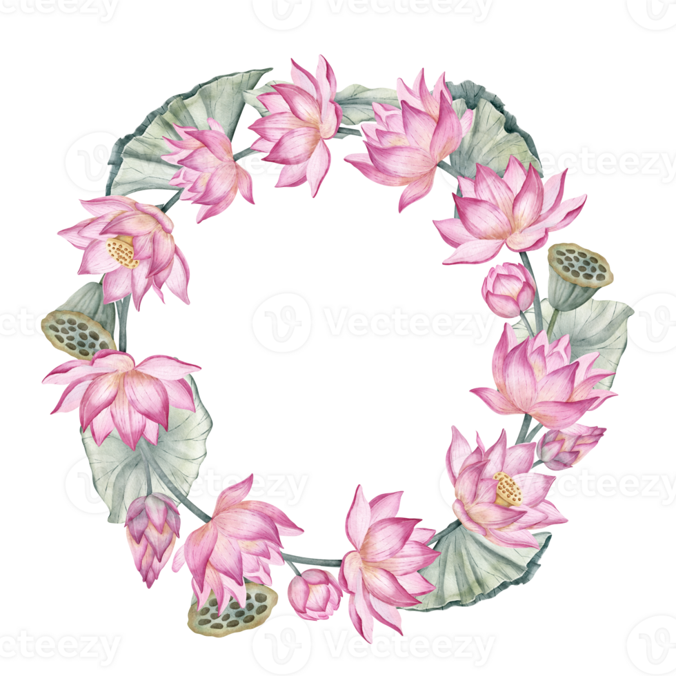 Lotus Flowers Wreath. Hand drawn watercolor illustration of circular Frame on isolated background. Round border with pink water Lily for wedding invitations or greeting cards. Waterlily backdrop. png