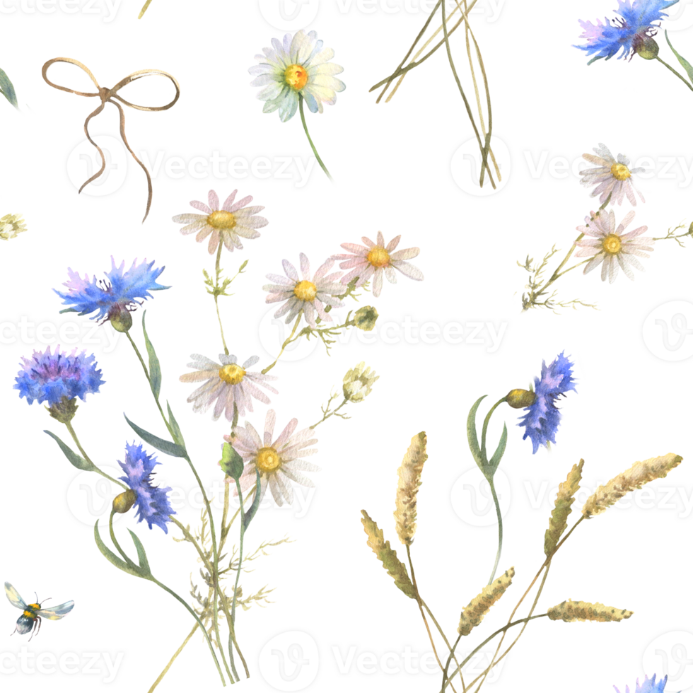 Watercolor seamless pattern with blue field flowers, Cornflower herb, chamomile, and forget me not, drawing by watercolor, hand drawn floral illustration. png