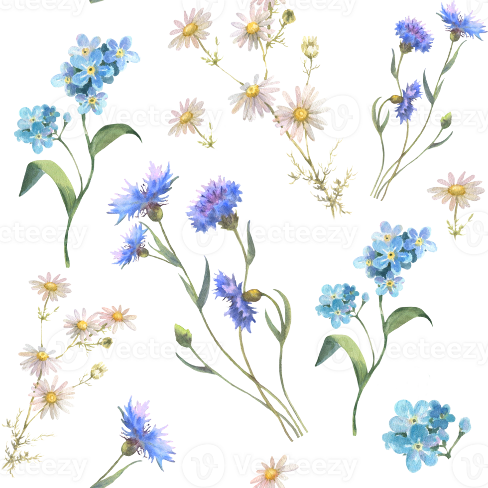 Watercolor seamless pattern with blue field flowers, Cornflower herb, chamomile, and forget me not, drawing by watercolor, hand drawn floral illustration. png