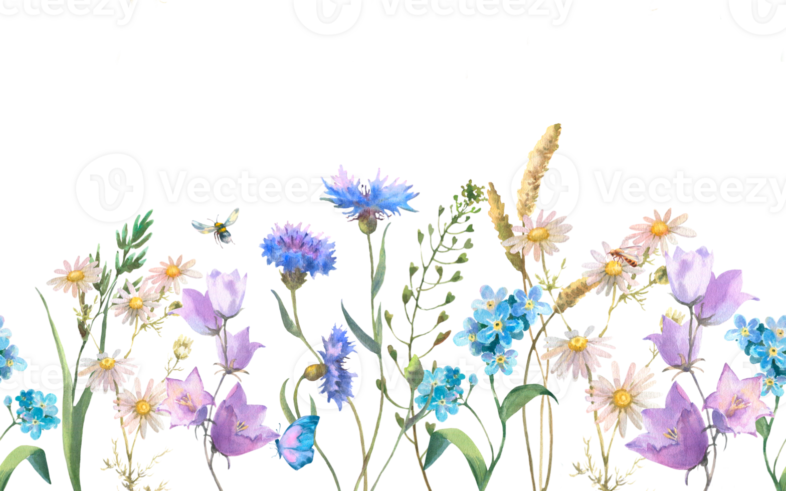 naadloos grens met kruiden en wild bloemen, bladeren, vlinders. botanisch illustratie. sjabloon met plaats voor tekst. png