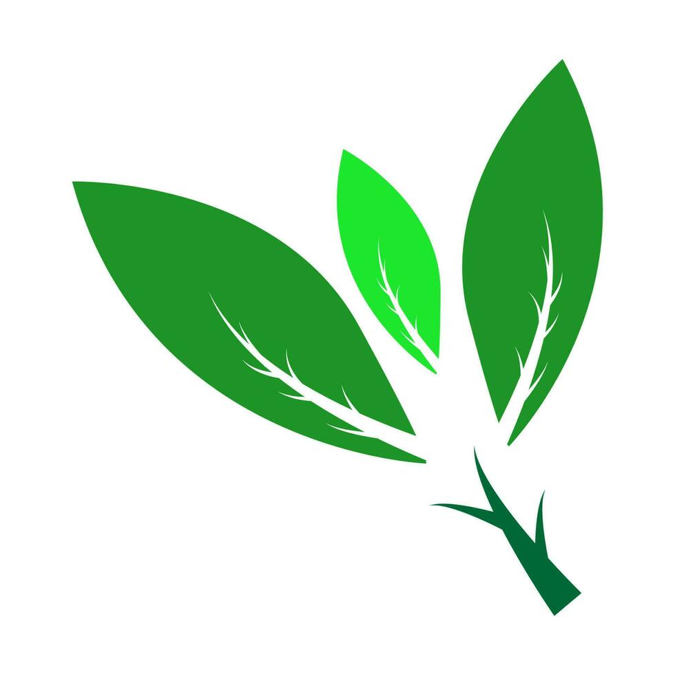 botanical icon illustration vector