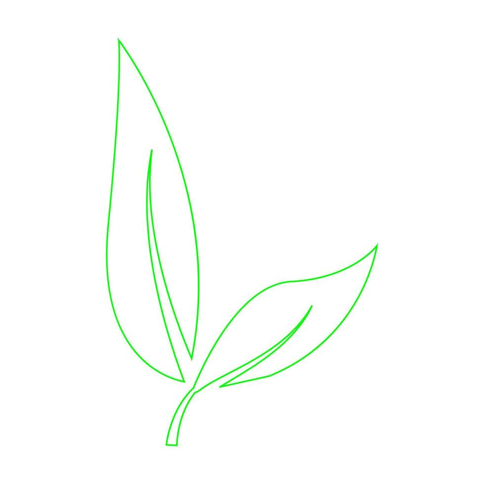 botanical icon illustration vector