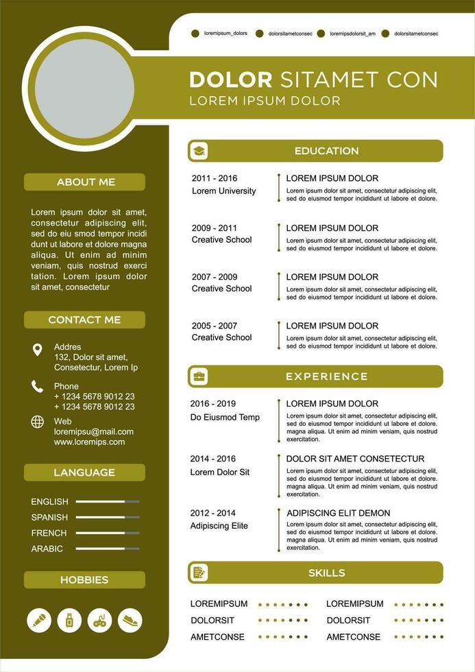 professional curriculum vitae template vector