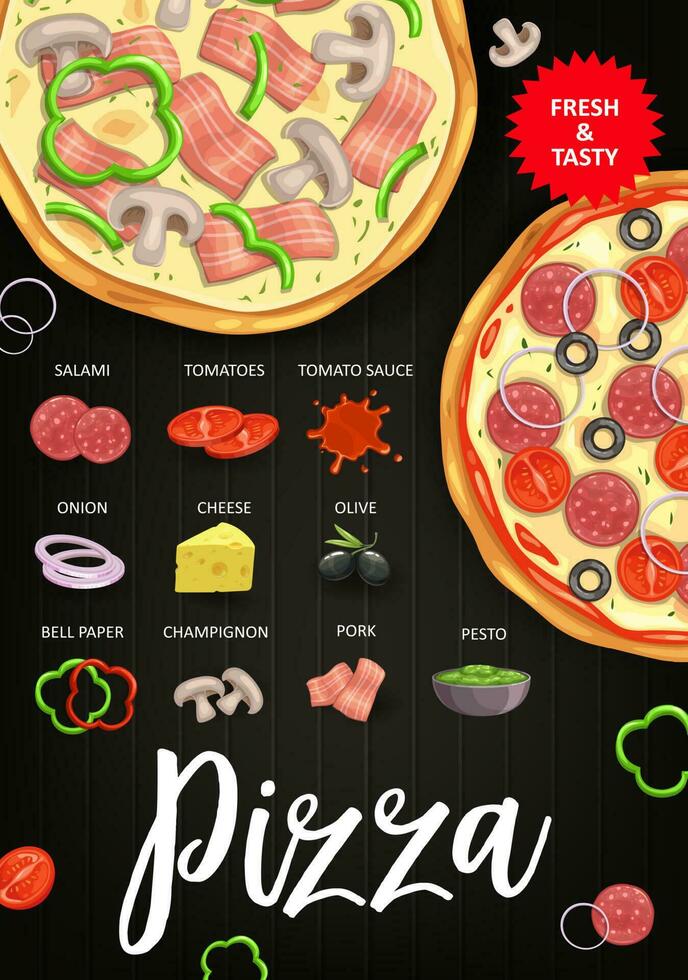 Pizza ingredientes vector italiano rápido comida receta