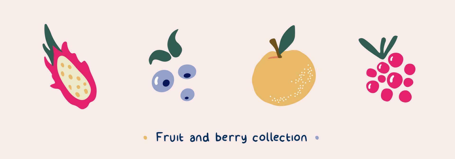 Fruit and berry vector collection. Hand drawn clipart of raspberry, blueberry, dragon fruit, orange