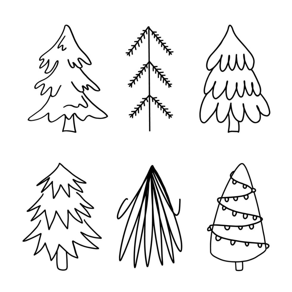 Set of hand drawn outline illustrations of firs. Coniferous trees in doodle style vector
