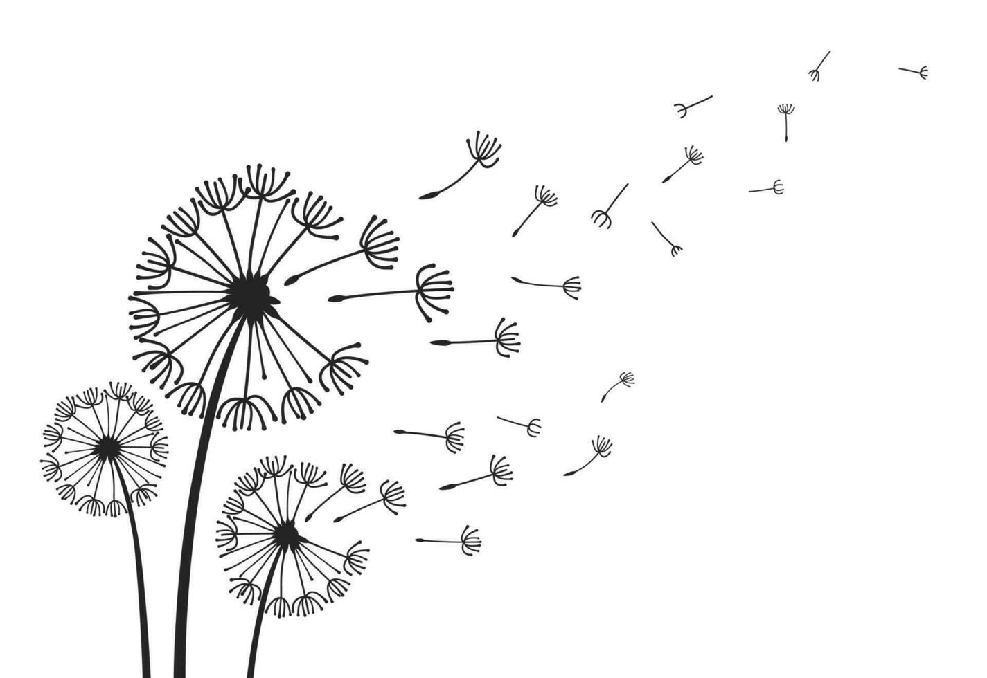 Dandelions with flying seeds, fluffy dandelion flower silhouettes. Spring season blooming blowball flowers doodles vector illustration