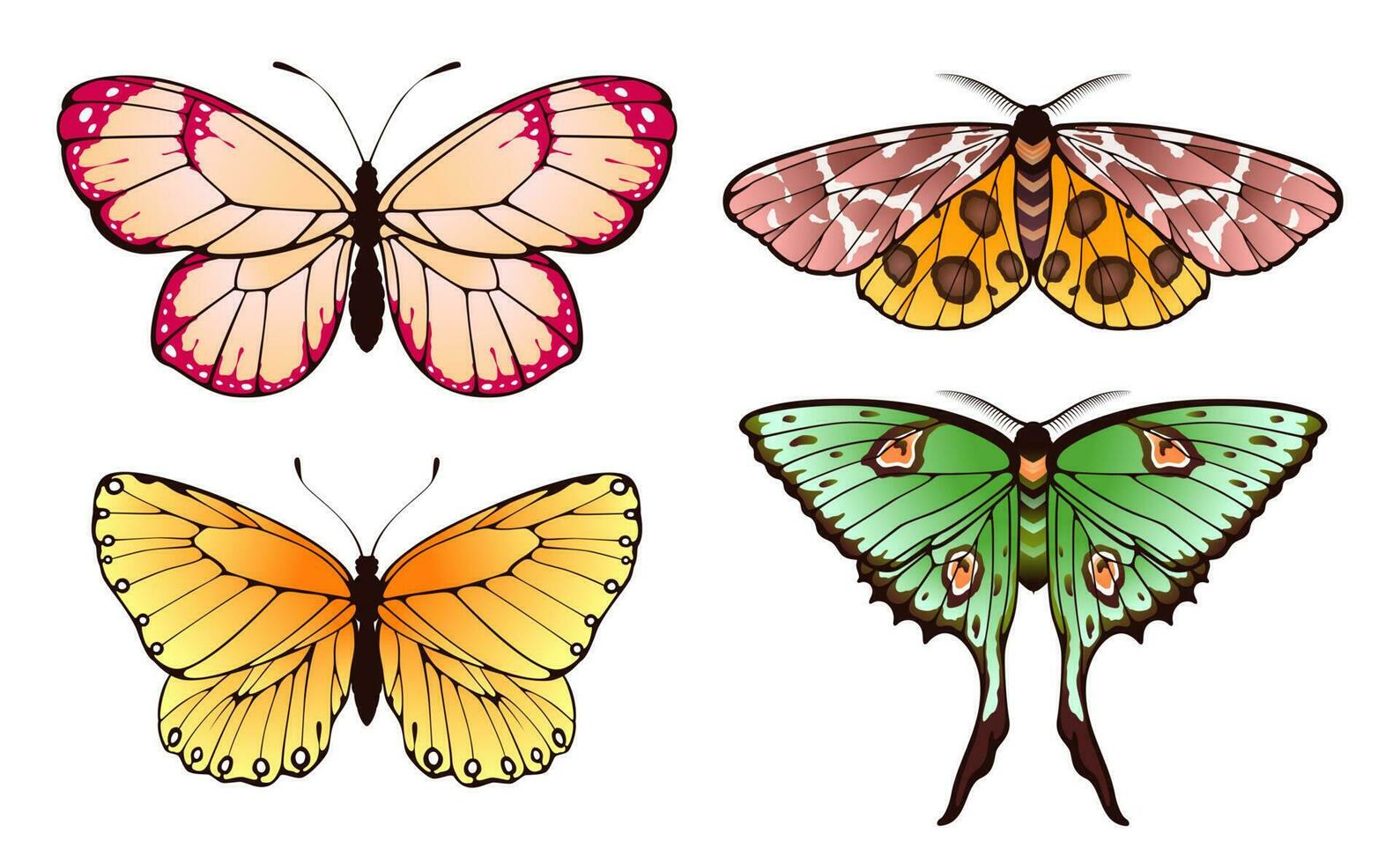 Spring butterflies flying with patterned colored wings vector