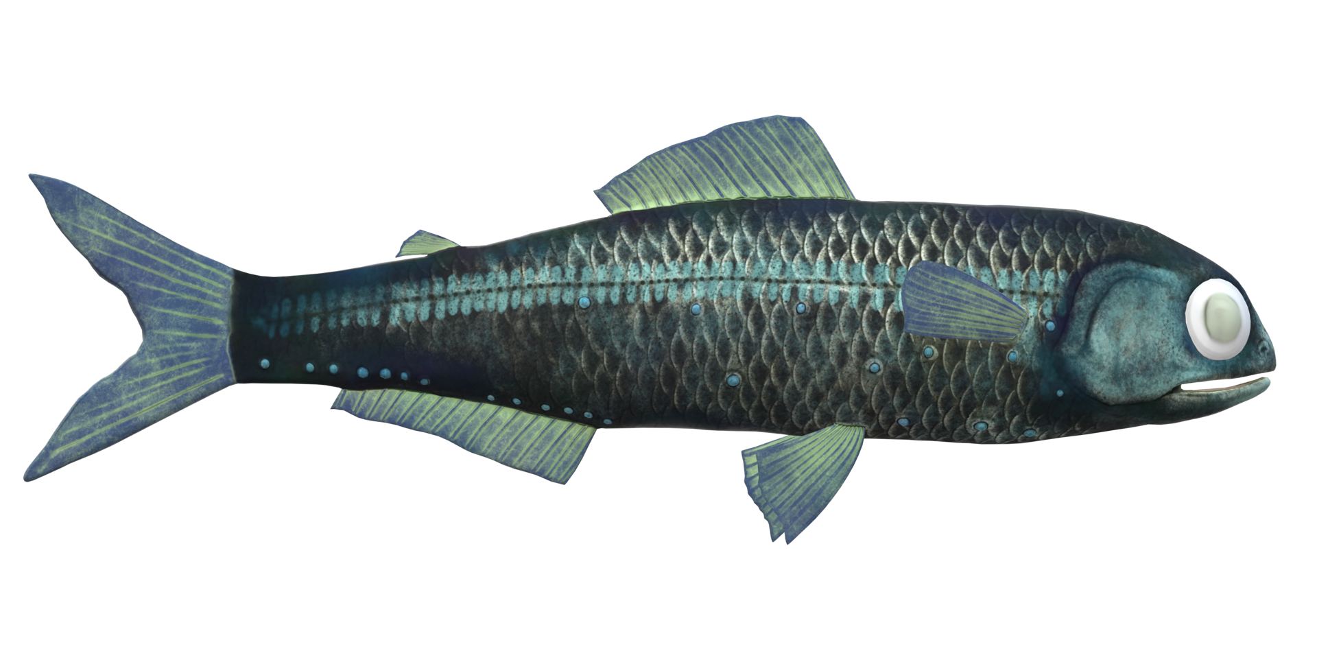 Lanternfish isolated on a Transparent Background png
