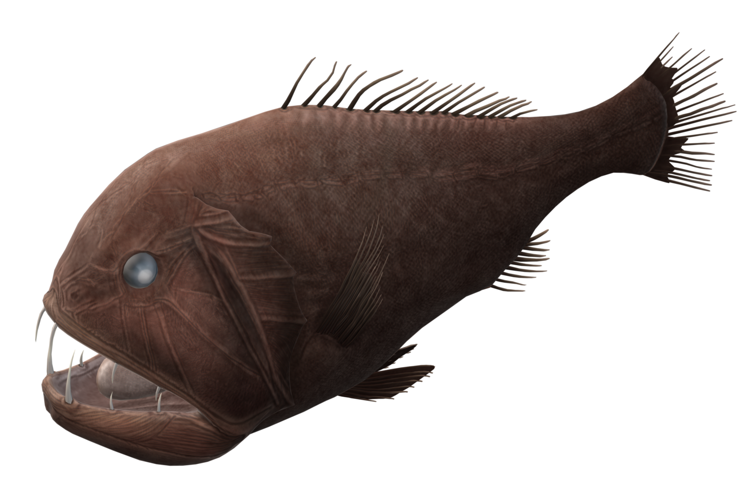 Fangtooth Fish isolated on a Transparent Background png