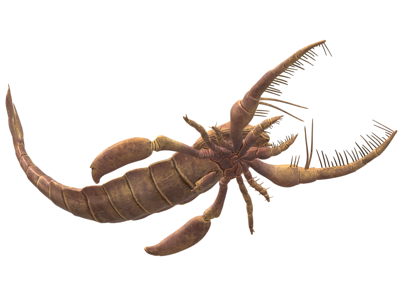 jaekelopterus geïsoleerd Aan een transparant achtergrond png