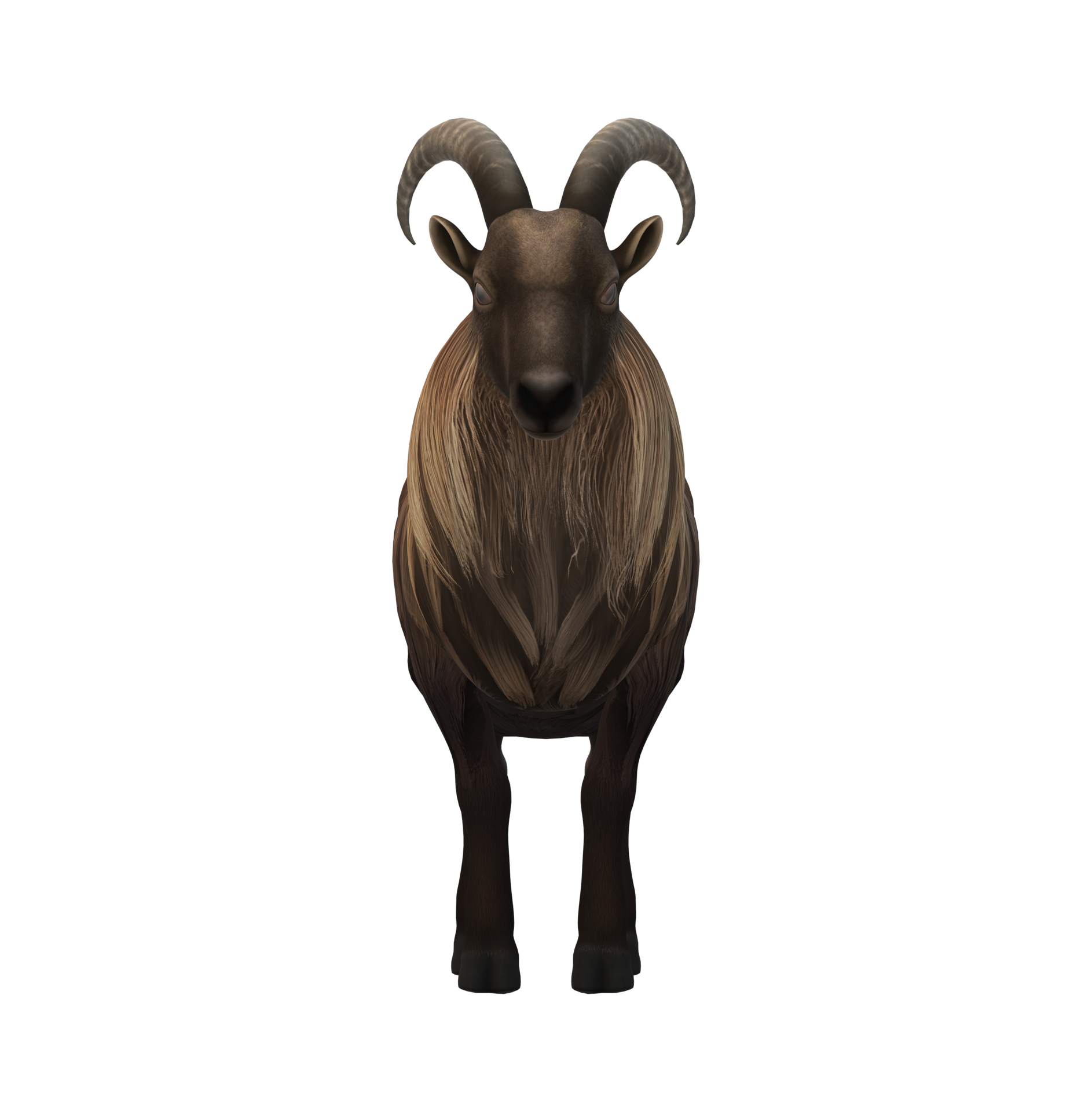 Mtn Goat Dinar Guru - ypu0nsi