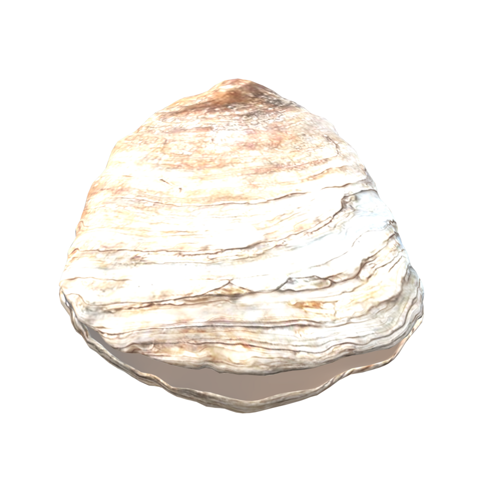 Oyster isolated on a Transparent Background png