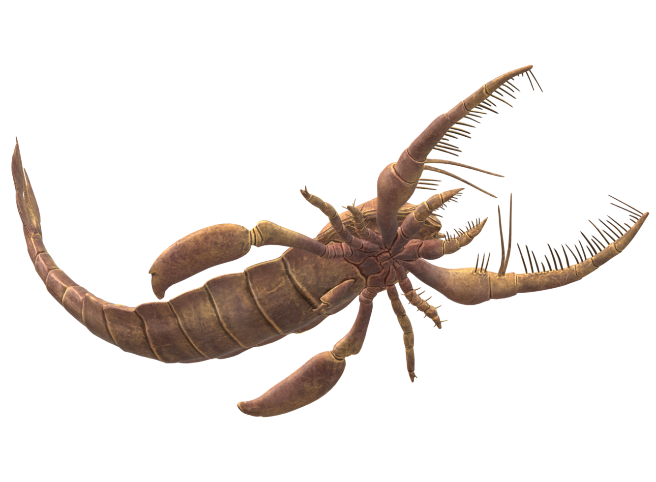Jaekelopterus isolated on a Transparent Background png