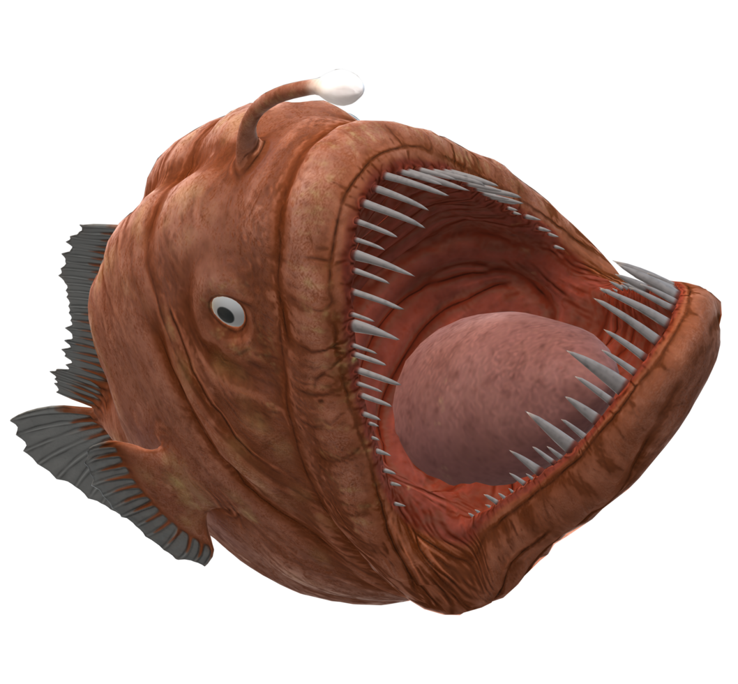 Angler Fish isolated on a Transparent Background png