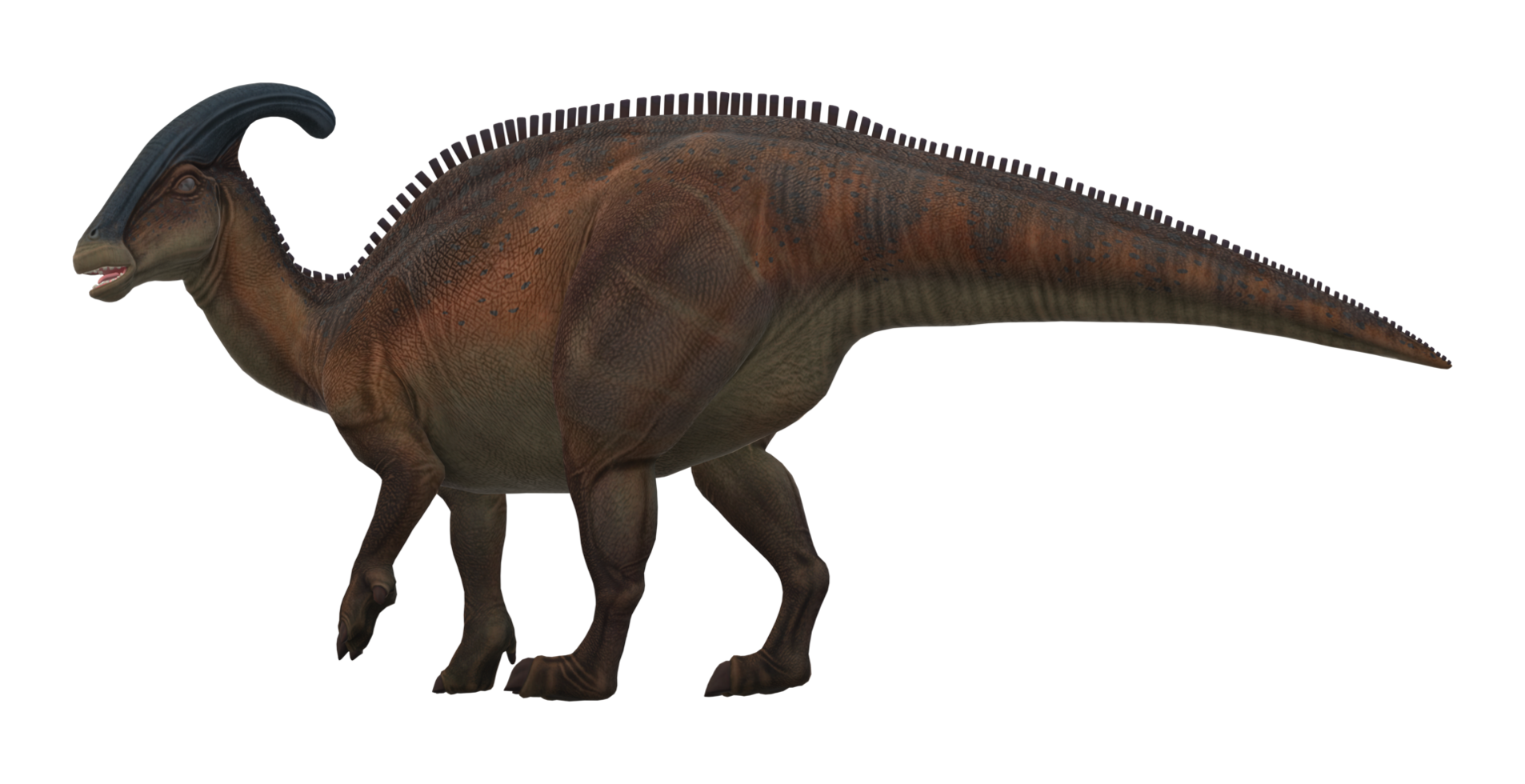 Dinosaur isolated on a Transparent Background png