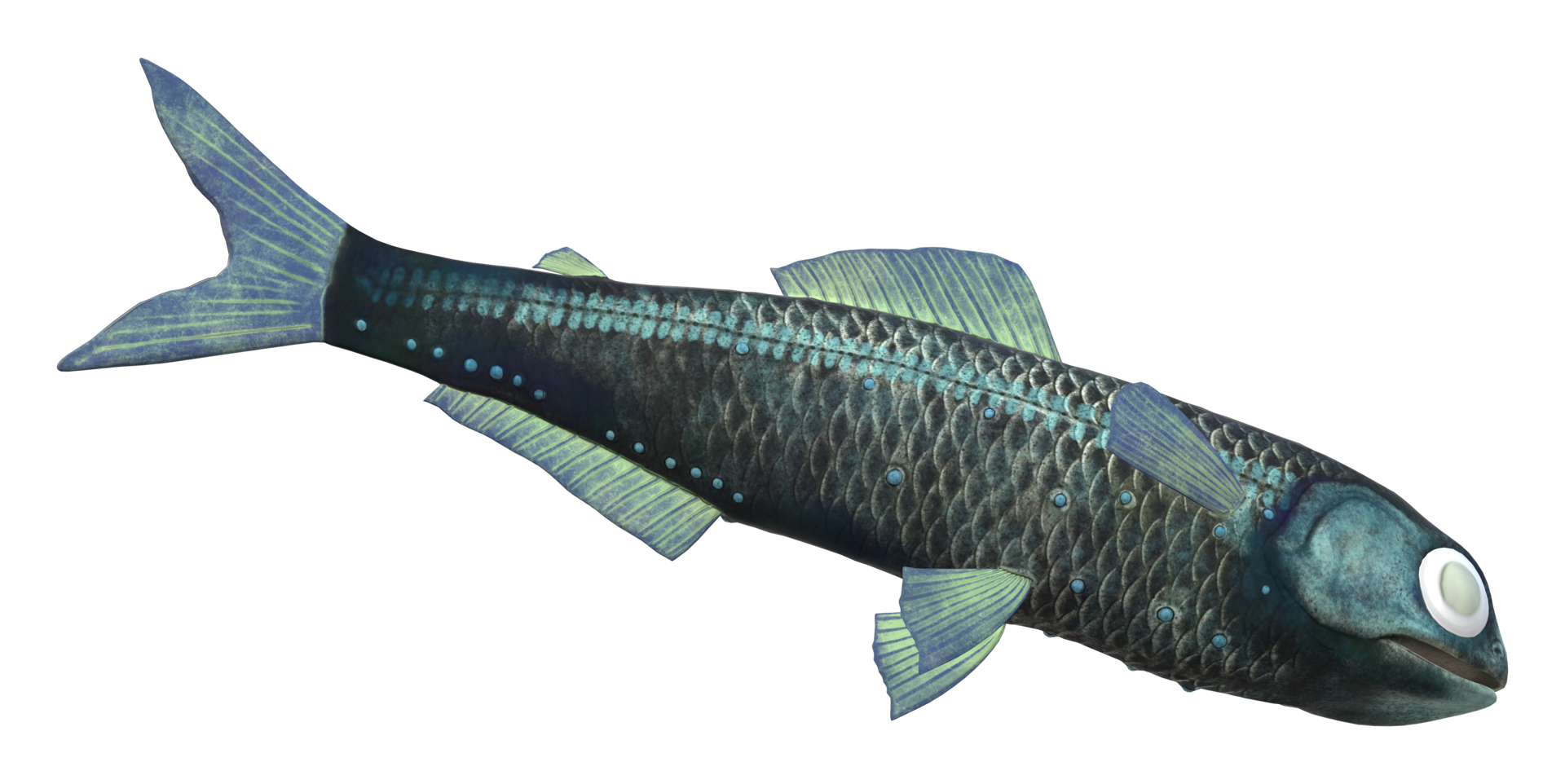 Lanternfish isolated on a Transparent Background png