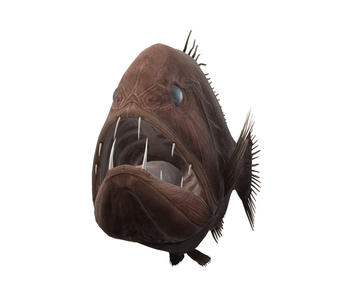 Fangtooth Fish isolated on a Transparent Background png