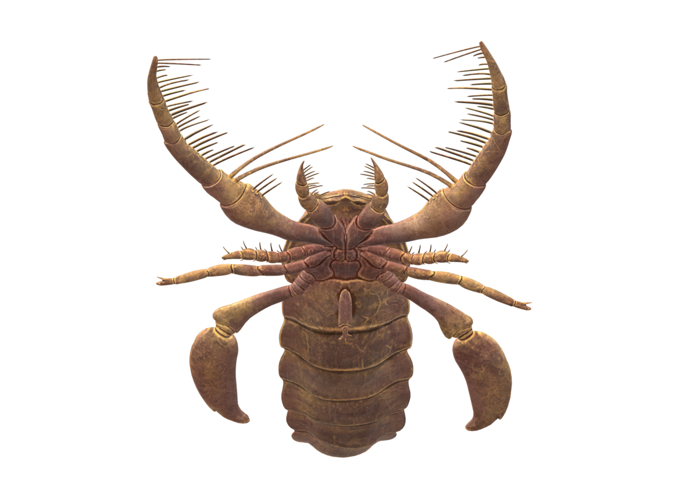 jaekelopterus isolé sur une transparent Contexte png