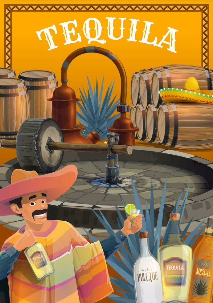 Tequila and other agave drink production process vector