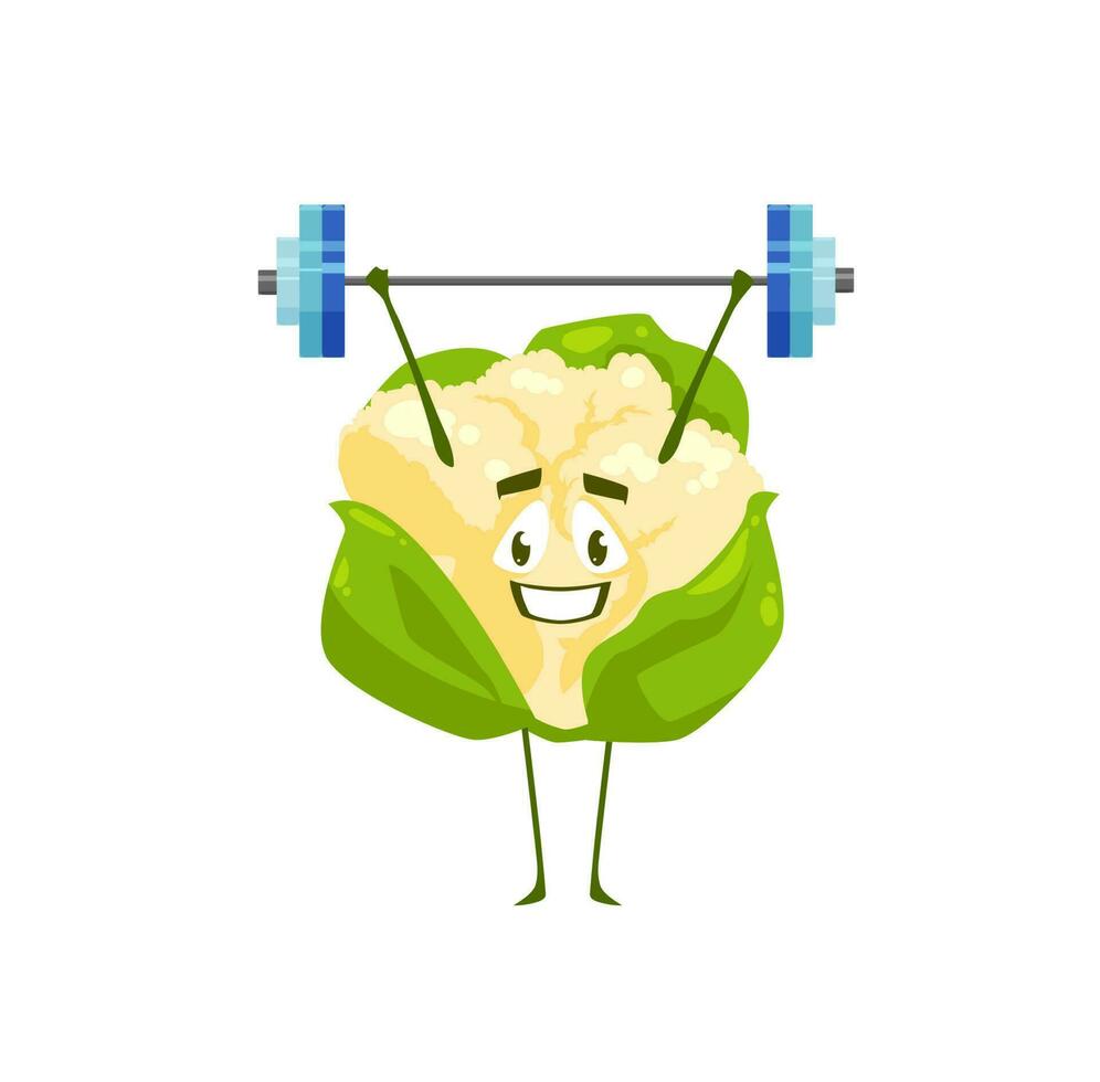 Cartoon cauliflower vegetable workout with barbell vector