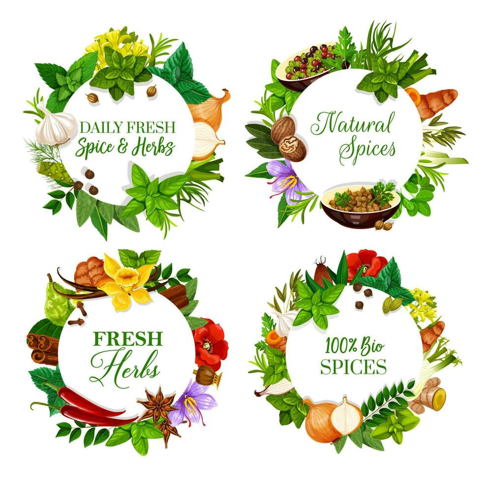 Natural spices and kitchen herbs round banners vector