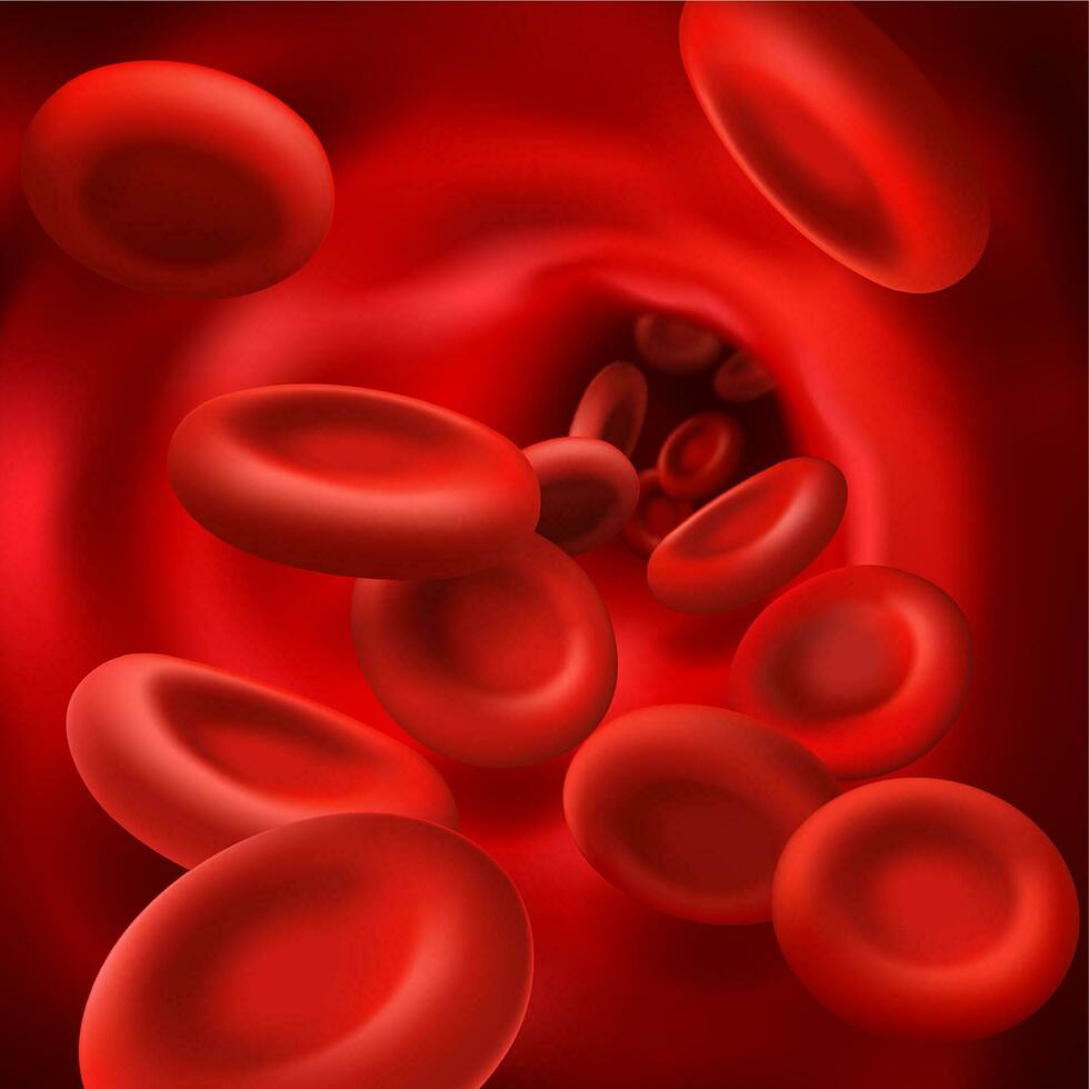 Red cells in blood vessel, 3d vector hemoglobin