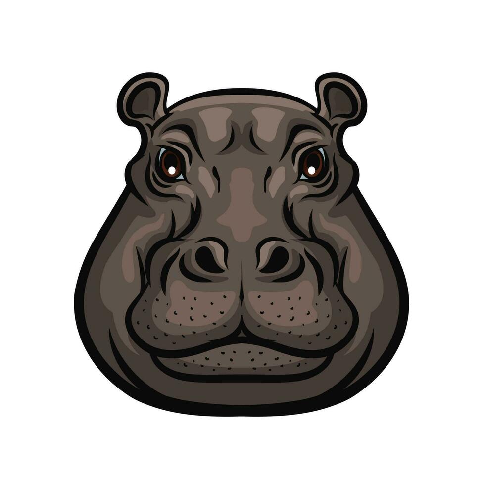 Hippopotamus animal wild muzzle head, isolated vector