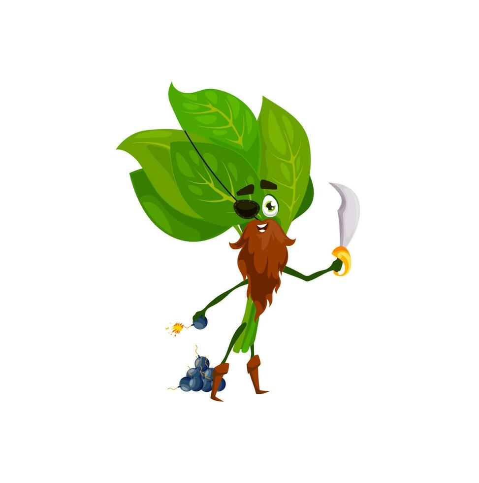 Spinach pirate vegetable with bomb sword. Emoticon vector