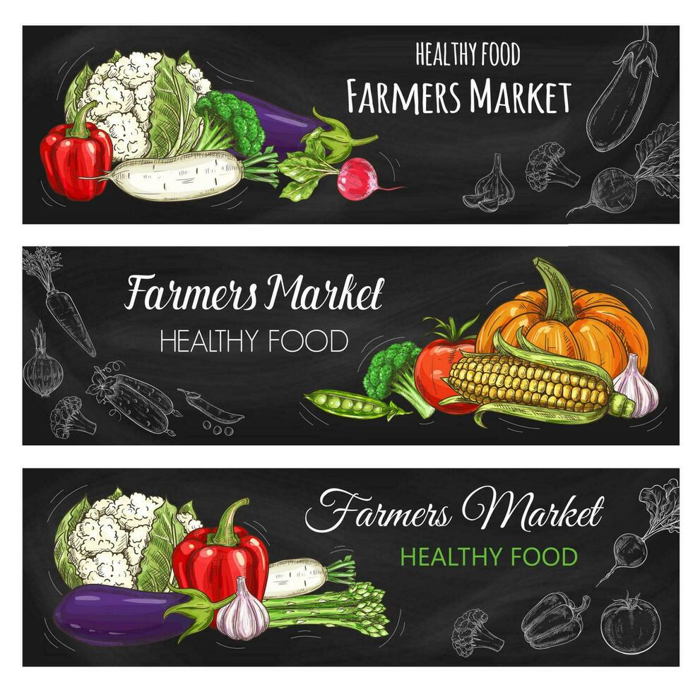 Vegetables farmer market chalk sketch banner vector